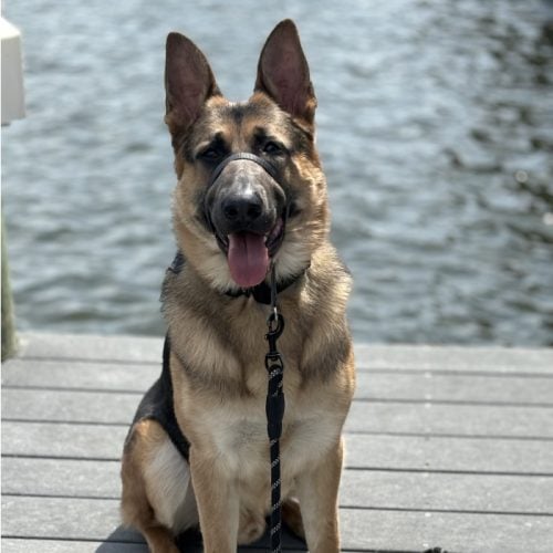 Geist