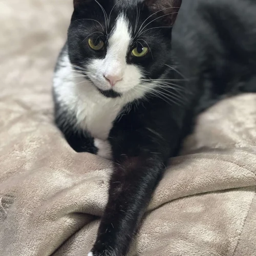 Leroy