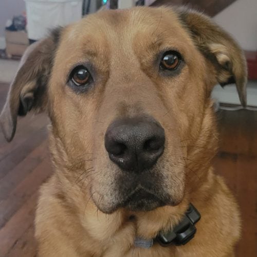 Sam