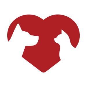 VES-favicon-1